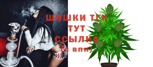 прущие крисы Аркадак