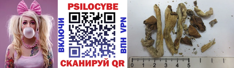 купить   Тырныауз  Галлюциногенные грибы MAGIC MUSHROOMS 